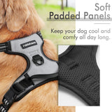 rabbitgoo Dog Harness, No-Pull Pet Harness with 2 Leash Clips, Adjustable Soft Padded Dog Vest, Reflective Outdoor Pet Oxford Vest with Easy Control Handle for Large Dogs