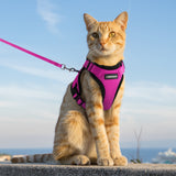 rabbitgoo Cat Harness and Leash for Walking, Escape Proof Soft Adjustable Vest Harnesses for Cats, Easy Control Breathable Reflective Strips Jacket