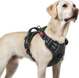 rabbitgoo Dog Harness Medium Sized, No Pull Pet Harness with 3 Buckles, Adjustable Soft Padded Dog Vest with Instant Control Handle, Easy Walking Reflective Pet Vest for Medium Dogs