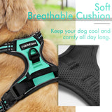 rabbitgoo Dog Harness, No-Pull Pet Harness with 2 Leash Clips, Adjustable Soft Padded Dog Vest, Reflective Outdoor Pet Oxford Vest with Easy Control Handle for Large Dogs