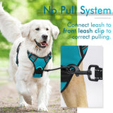 rabbitgoo Dog Harness, No-Pull Pet Harness with 2 Leash Clips, Adjustable Soft Padded Dog Vest, Reflective Outdoor Pet Oxford Vest with Easy Control Handle for Large Dogs