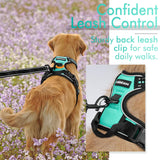 rabbitgoo Dog Harness, No-Pull Pet Harness with 2 Leash Clips, Adjustable Soft Padded Dog Vest, Reflective Outdoor Pet Oxford Vest with Easy Control Handle for Large Dogs