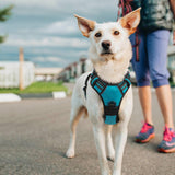 rabbitgoo Dog Harness, No-Pull Pet Harness with 2 Leash Clips, Adjustable Soft Padded Dog Vest, Reflective Outdoor Pet Oxford Vest with Easy Control Handle for Large Dogs