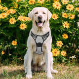 rabbitgoo Dog Harness, No-Pull Pet Harness with 2 Leash Clips, Adjustable Soft Padded Dog Vest, Reflective Outdoor Pet Oxford Vest with Easy Control Handle for Large Dogs