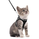 rabbitgoo Cat Harness and Leash Set for Walking Escape Proof, Adjustable Soft Kittens Vest with Reflective Strip for Small Cats, Comfortable Outdoor Vest