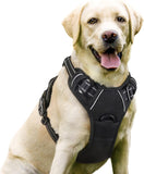 rabbitgoo Dog Harness, No-Pull Pet Harness with 2 Leash Clips, Adjustable Soft Padded Dog Vest, Reflective Outdoor Pet Oxford Vest with Easy Control Handle for Large Dogs