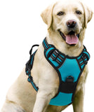 rabbitgoo Dog Harness, No-Pull Pet Harness with 2 Leash Clips, Adjustable Soft Padded Dog Vest, Reflective Outdoor Pet Oxford Vest with Easy Control Handle for Large Dogs